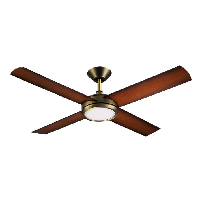 Ceiling fan with lighting