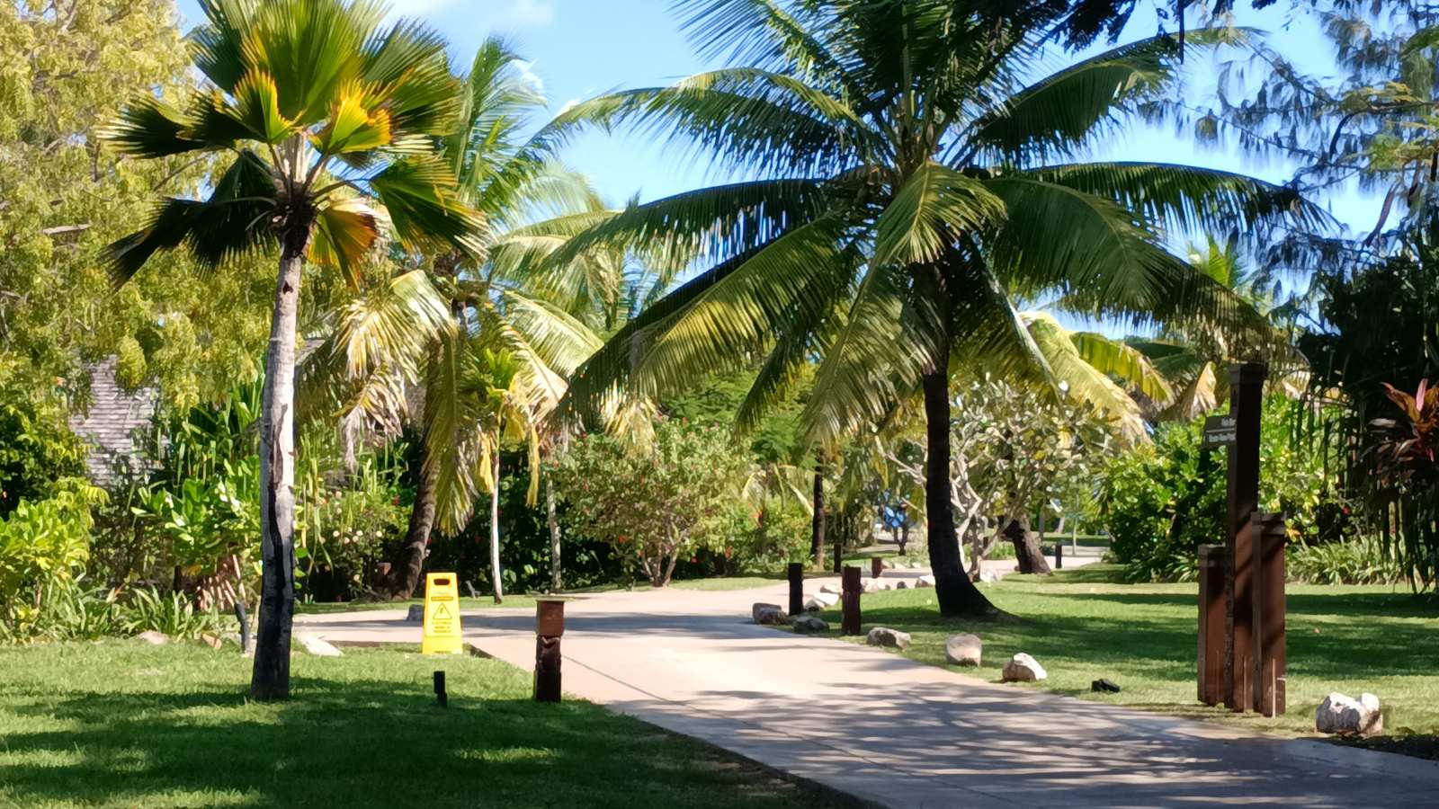 Tropical outdoor setting